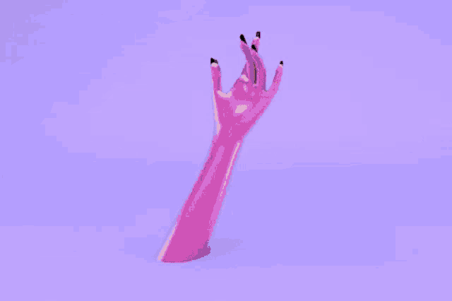a pink hand is reaching out towards a rose on a purple background