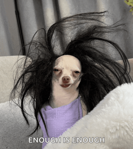 a dog wearing a wig is sitting on a couch and the caption says enough is enough