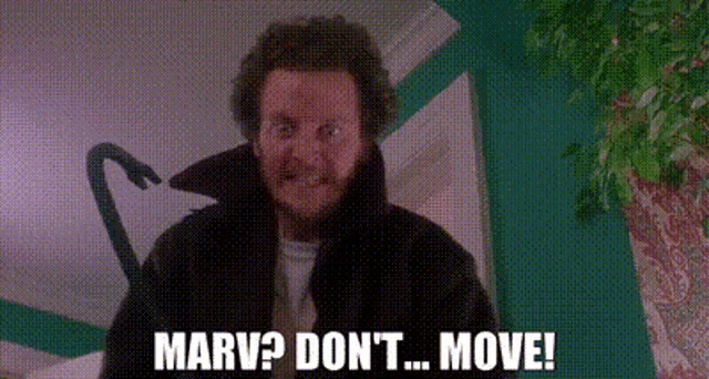 Marv Dont Move GIF - Marv Dont Move GIFs