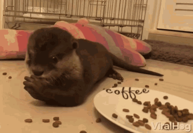 Feast Famished GIF - Feast Famished Hungry GIFs