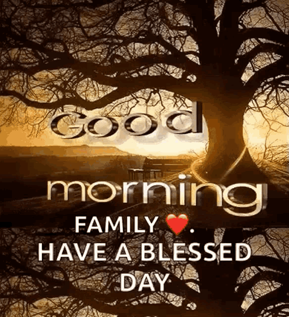 a good morning family have a blessed day with a tree in the background .