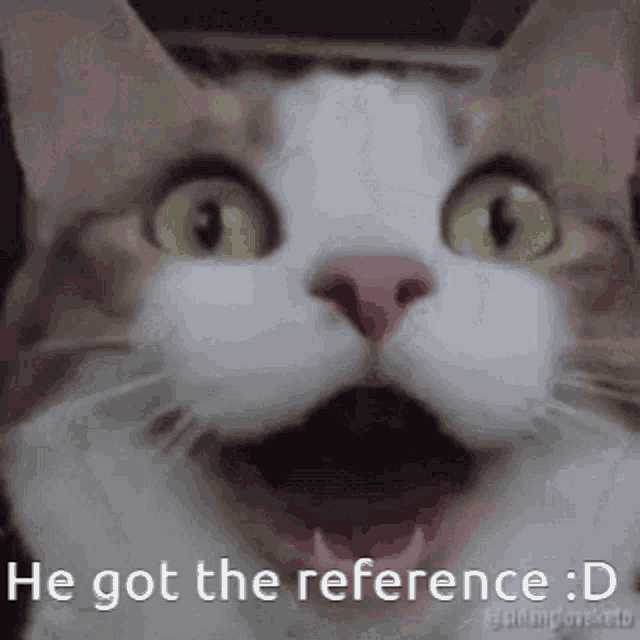 Reference He Got The Reference GIF - Reference He Got The Reference Sidlymations GIFs