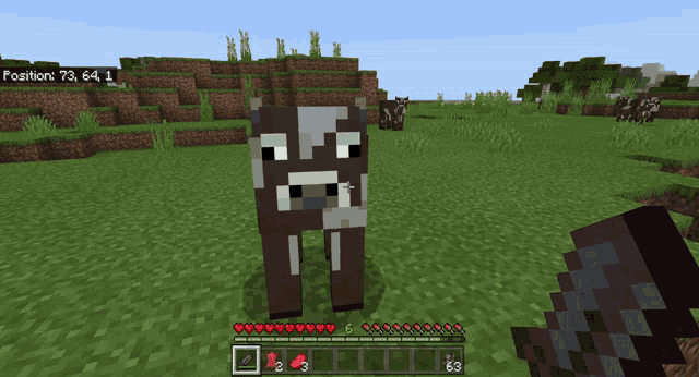 a cow is standing in a field in minecraft