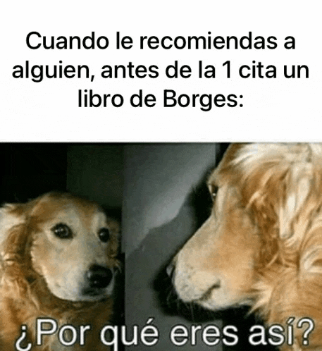 a dog is looking at its reflection in a mirror and asking " por que eres a si "