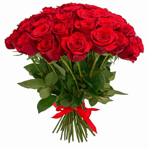 a large bouquet of red roses with a red ribbon tied around them