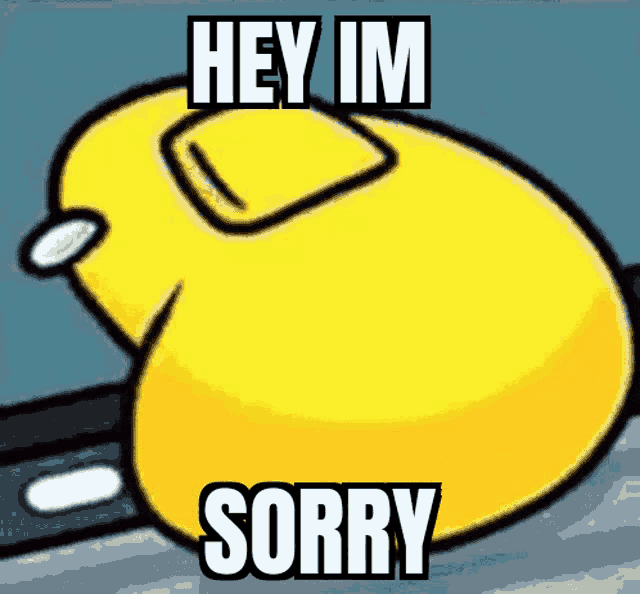 a yellow duck with the words hey im sorry written on it .