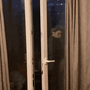 a person is looking out of a glass door