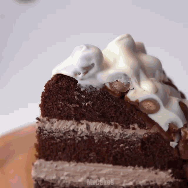 a close up of a slice of chocolate cake with whipped cream