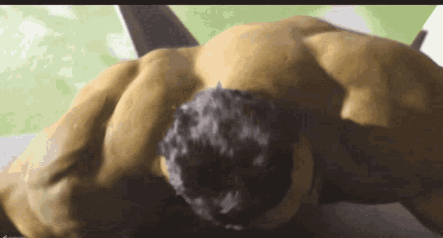 a close up of a muscular man laying down