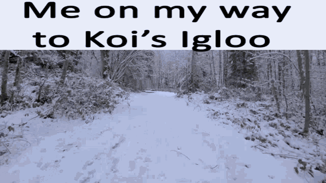 Koi Is Canadian GIF - Koi Is Canadian GIFs
