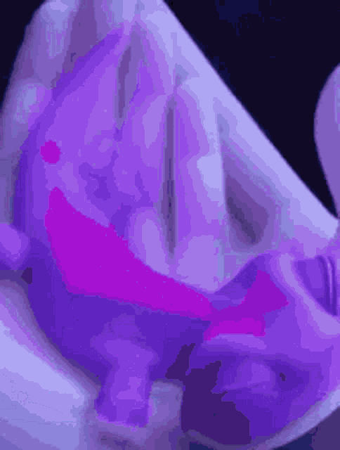 a close up of a person holding a purple and pink toy .
