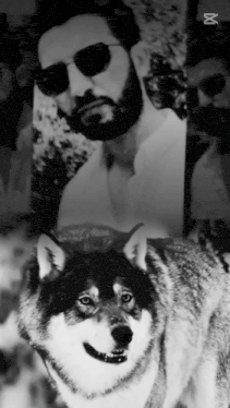 a black and white photo of a man with a beard and sunglasses and a wolf