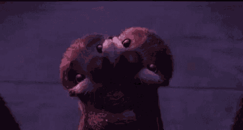 a couple of otters standing next to each other on a purple background .