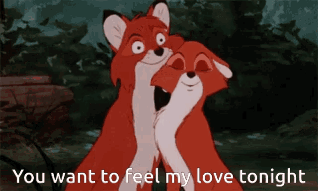 a cartoon of two foxes hugging with the words you want to feel my love tonight