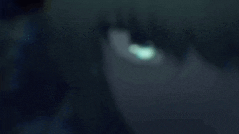 a close up of a person 's eyes with a dark background .