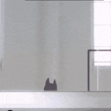 a cartoon cat with blue eyes and a heart on its chest stands in front of a window