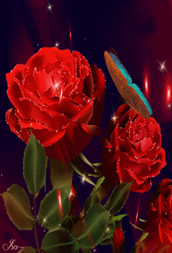 a blue butterfly is sitting on a red rose in a dark room