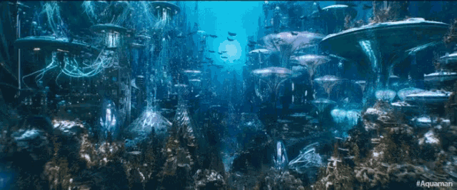 a scuba diver is swimming in a coral reef surrounded by fish .