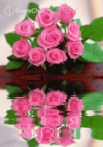 a bouquet of pink roses is reflected in the water