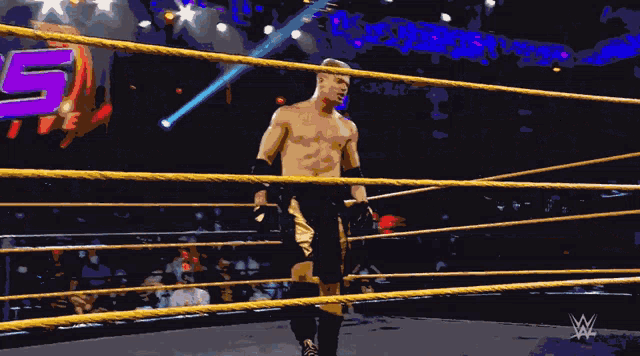 a man in a wrestling ring with the number 15 in the back