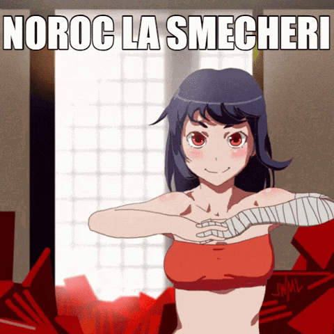 a picture of a girl with the words noroc la smecheri written on it