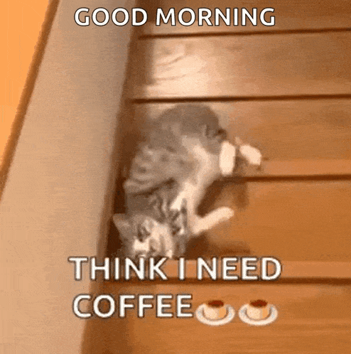 Cat And Coffee GIF - Cat And Coffee GIFs