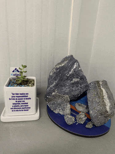 a kolpa sign sits next to a plant