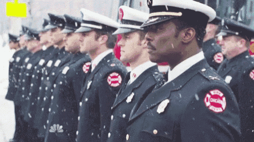 a group of firefighters are lined up in a row