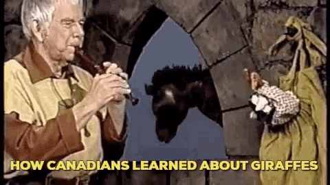 a man playing a flute with the words " how canadians learned about giraffes " above him