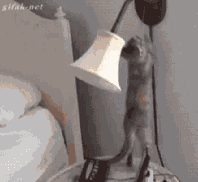 Lamp Light GIF - Lamp Light Bulb GIFs
