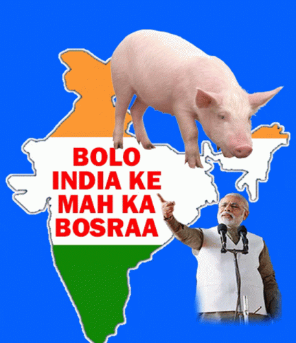 Modi India Ke Mah Ka Bosra GIF - Modi India Ke Mah Ka Bosra Fuckindia GIFs