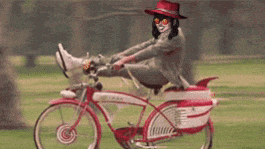 a person wearing a red hat and sunglasses is riding a bicycle .