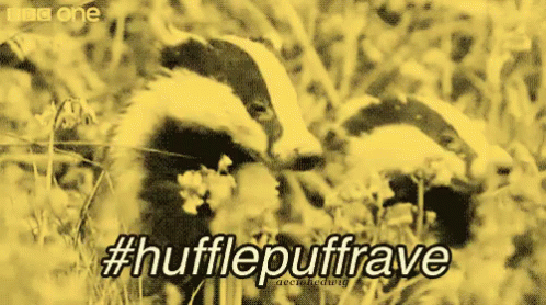 Hufflepuff Animals GIF - Hufflepuff Animals Rave GIFs