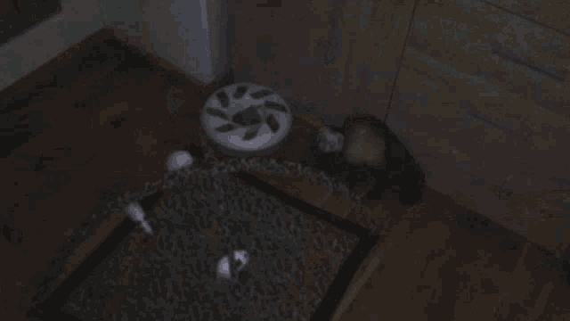 a cat is laying on a wooden floor next to a white box