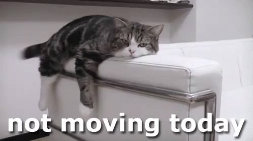 Not Moving Today GIF