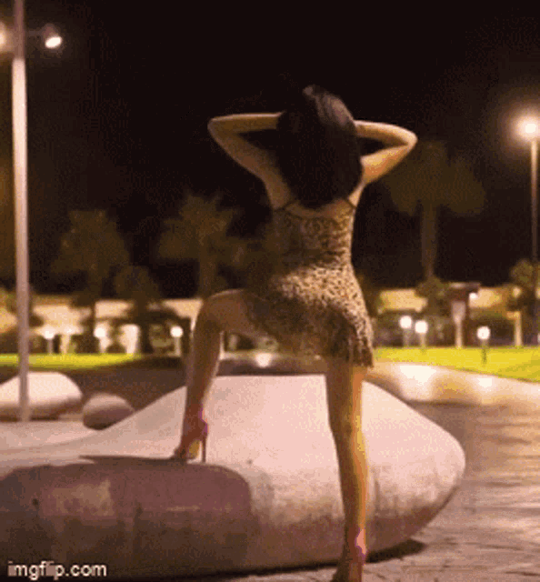 a woman in a leopard print dress and pink heels stands on a rock at night