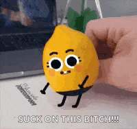 a person is holding a stuffed lemon with arms and legs and says `` suck on this bitch '' .