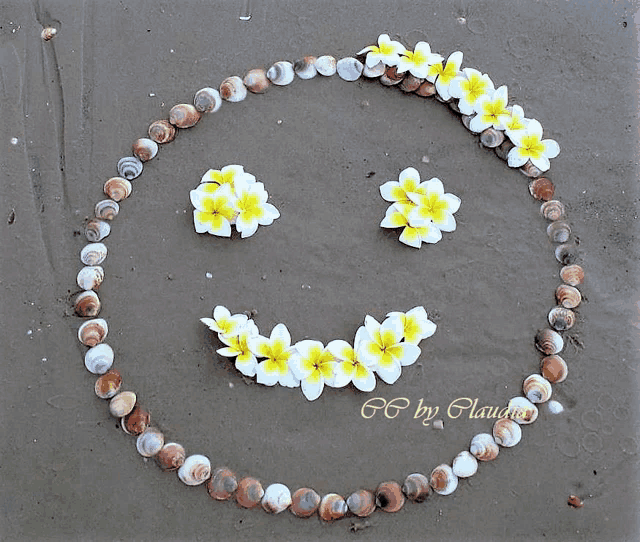 a smiley face made out of seashells and flowers by fg by clause