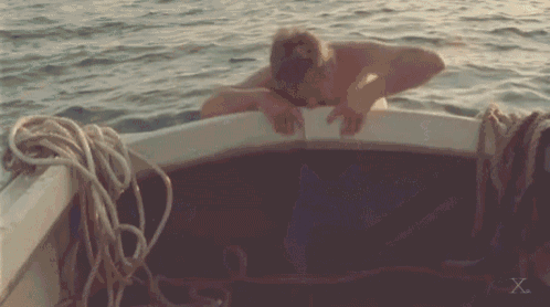 Shark Attack!!!! Have Some!!! GIF - Shark Fight Swim GIFs