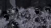 Bubbles GIF - Bubbles GIFs