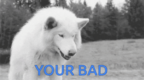a black and white photo of a white wolf with the words your bad written in blue