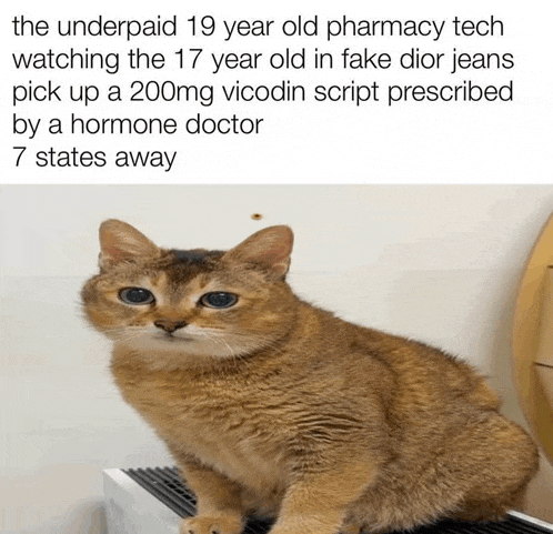 the underpaid 19 year old pharmacy tech watching the 17 year old in fake dior jeans pick up a 200mg vicodin script prescribed
