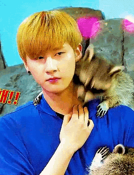 a young man in a blue shirt is holding a raccoon on his shoulder