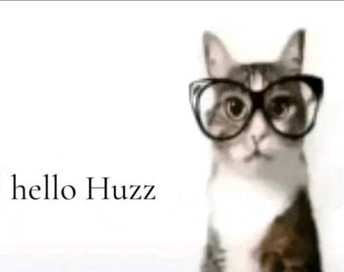 a cat wearing glasses says hello huzz in the corner