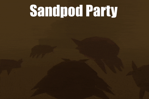 a poster for sandpod party shows a group of turtles in the sand