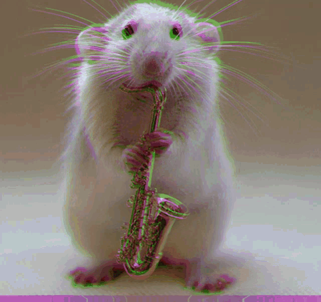 Rat Trumpet GIF - Rat Trumpet Glitch GIFs