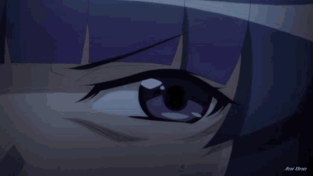 a close up of a person 's eye with the word anime written below it