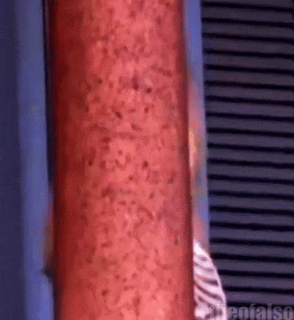 a close up of a red object with a blue background and the word false on the bottom