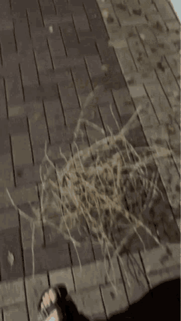 a person is walking on a brick sidewalk with their feet in the water .