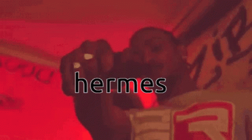 Herms GIF - Herms GIFs